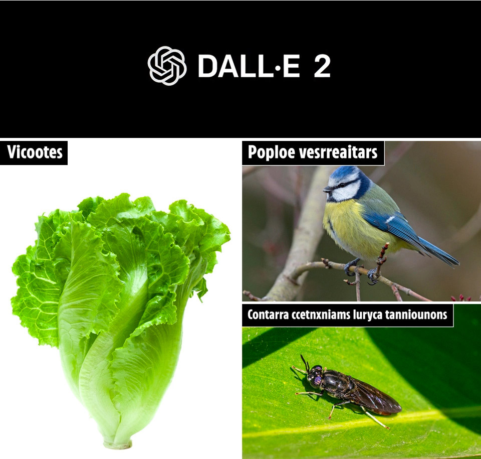 Dall·e 2 Artificial Intelligence System Has Created Its Own Secret Language Nobody Understands