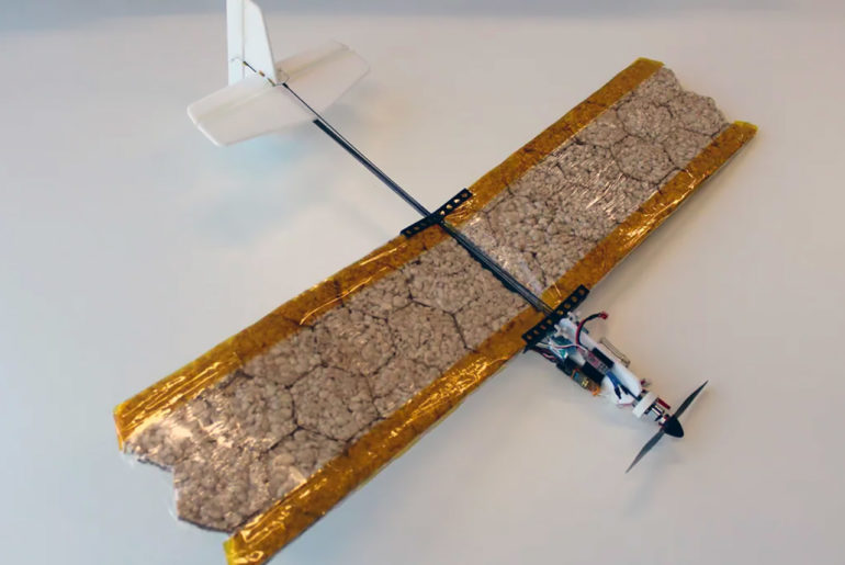 Edible Drone Has Wings Made from Rice Cakes, Could Save Lives in Case of Emergency
