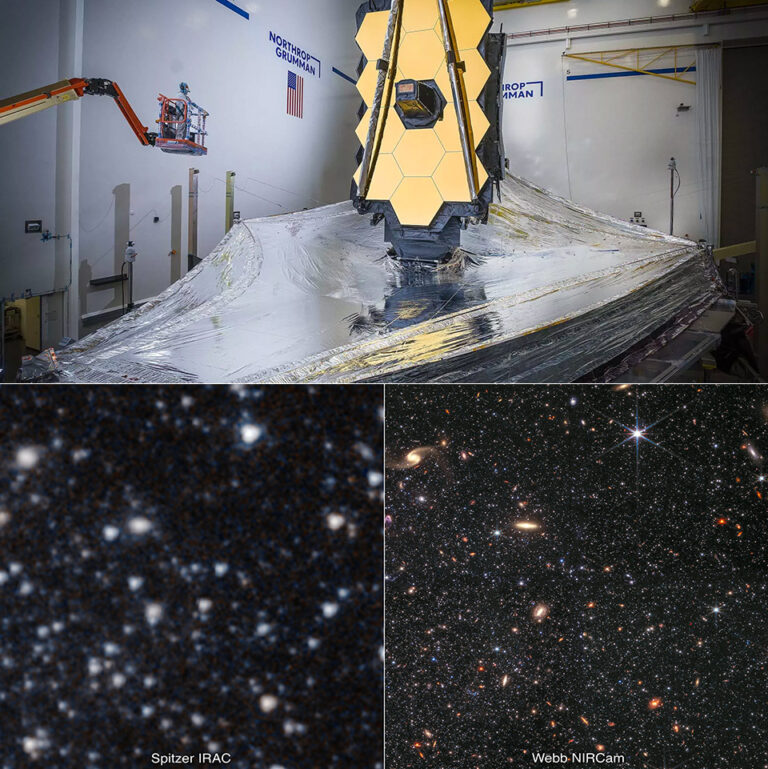 James b Space Telescope Captures a Galactic Seahorse Distorted by Gravitational Lensing