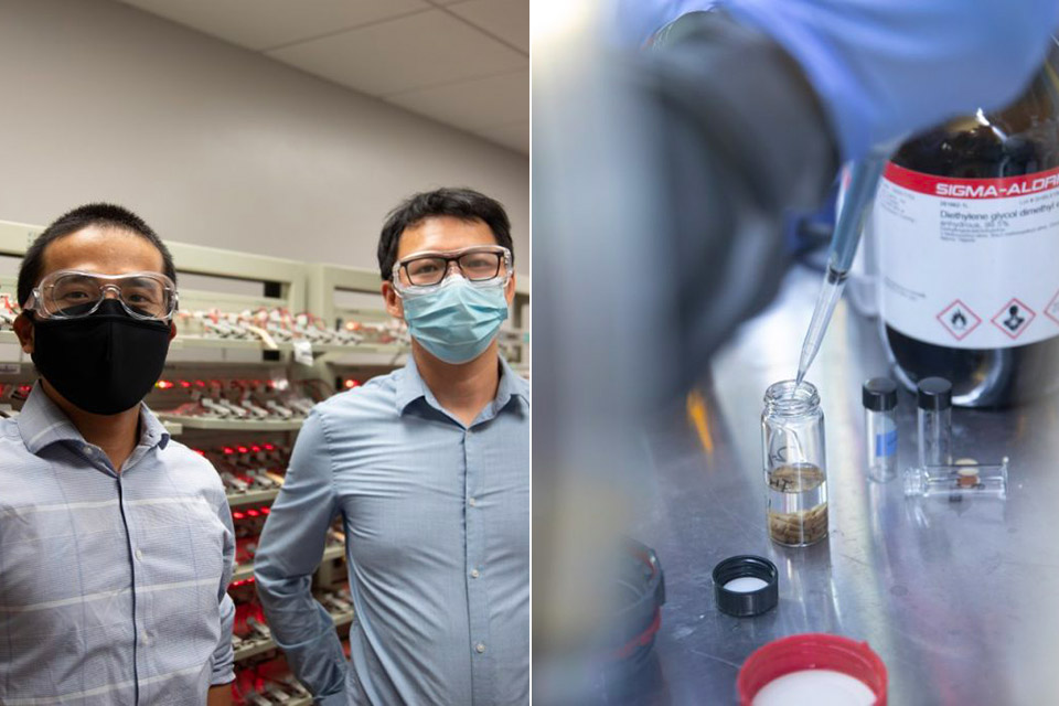 Food Waste Into Batteries Energy