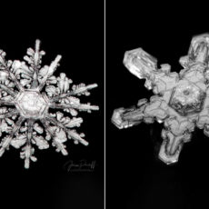 Jason Persoff Snowflakes Photography