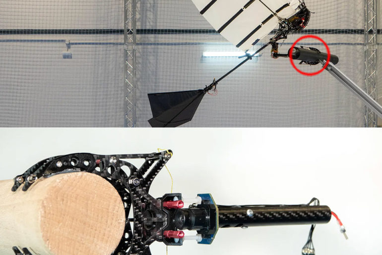 P-Flap Robot Bird Talon