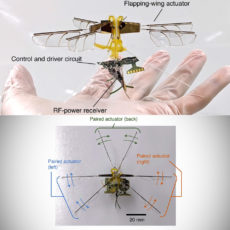 Toyota Insect Robot