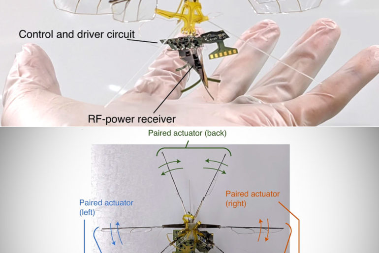 Toyota Insect Robot