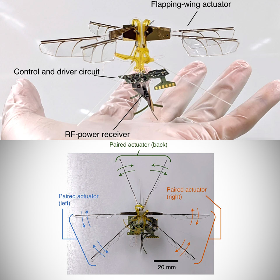 Toyota Insect Robot