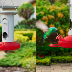 Bird Buddy Smart Hummingbird Feeder CES 2023