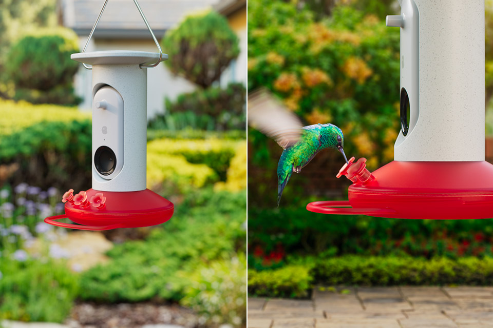 Bird Buddy Smart Hummingbird Feeder CES 2023