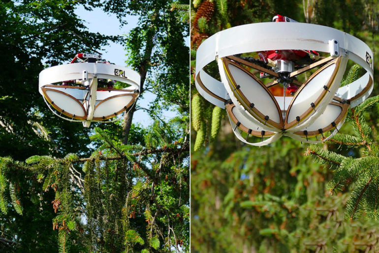 ETH Zurich Drone Collect DNA Trees
