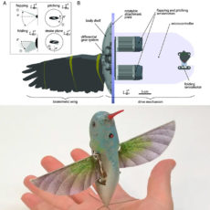 Flapping Wings Drones Lund University