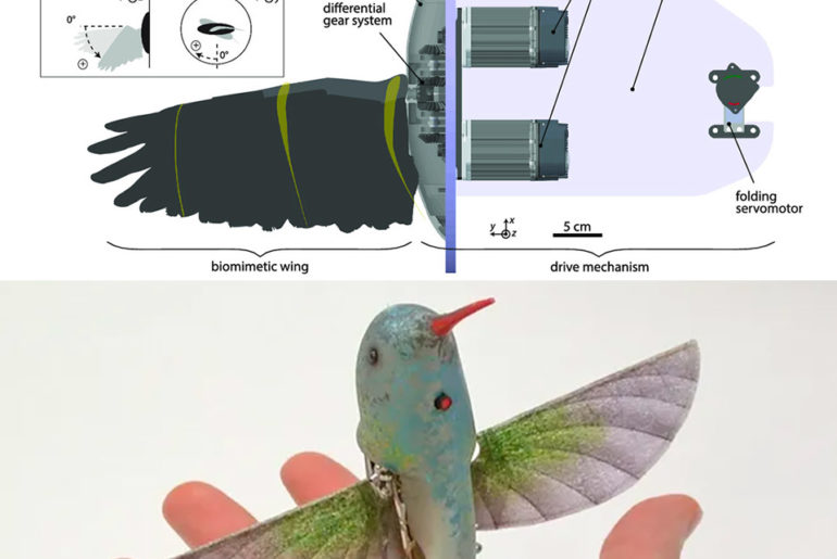 Flapping Wings Drones Lund University