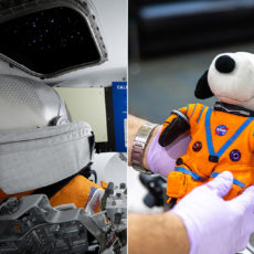 Zero-G Indicator Snoopy Astronaut NASA Artemis I Mission