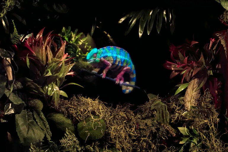 Light Field Lab Raises 50Million to Develop and Scale SolidLight