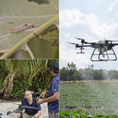 DJI Agras T30 Spraying Drone Pest Control Maldives