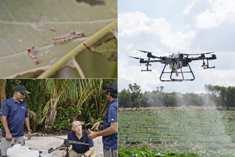 DJI Agras T30 Spraying Drone Pest Control Maldives