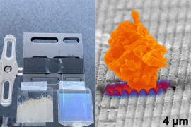 Innovative Dust-Resistant Technology Will Help Keep Solar Panels on