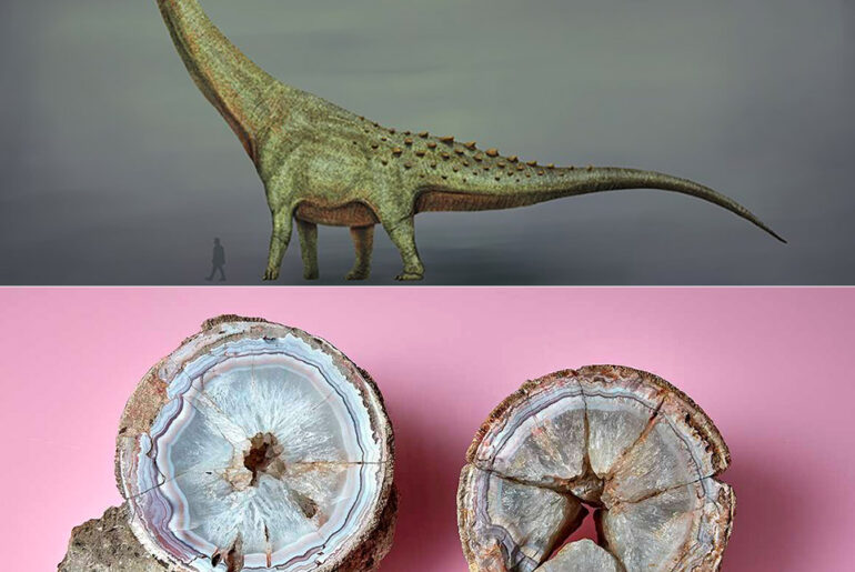 London Natural History Museum Rock Dinosaur Egg