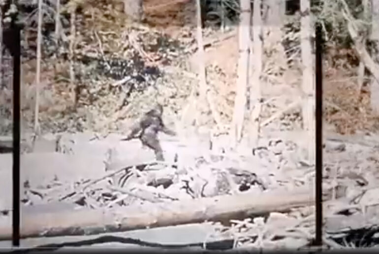 AI Stabilize Patterson-Gimlin Bigfoot Film 1967