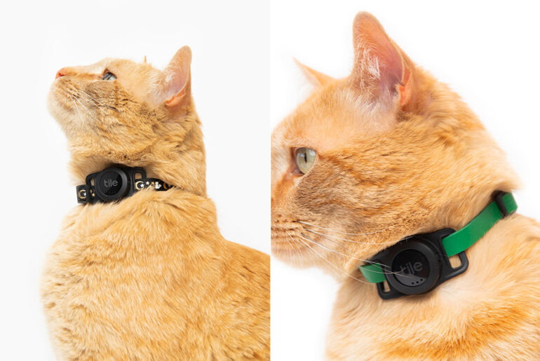 Tile for Cats Tracking Tag