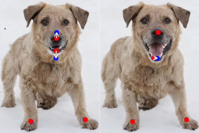 DragGAN Generative AI Tool Click-and-Drag