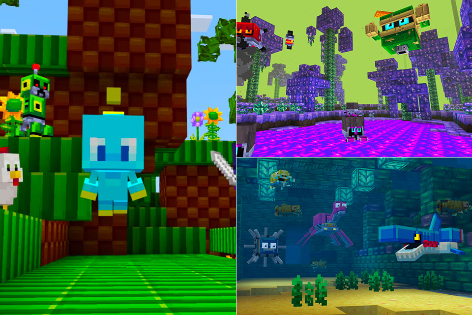 Minecraft Sonic Texture Pack DLC