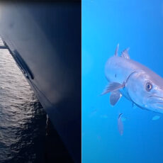 Photographer Drop GoPro Under Cruise Ship Video