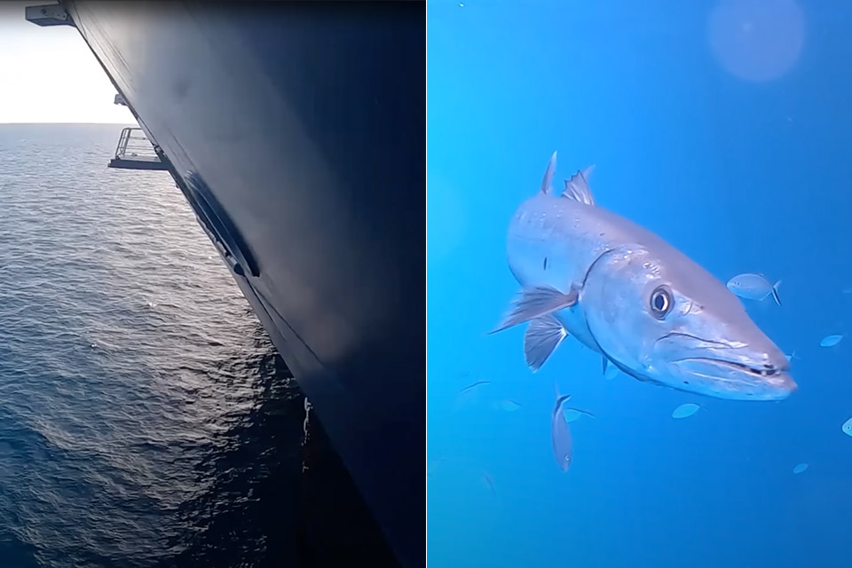 Photographer Drop GoPro Under Cruise Ship Video