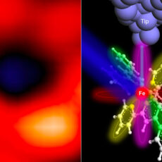 First X-Ray Single Atom